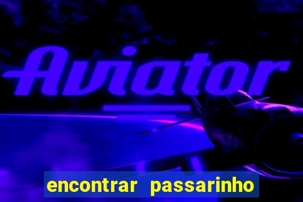 encontrar passarinho morto significado